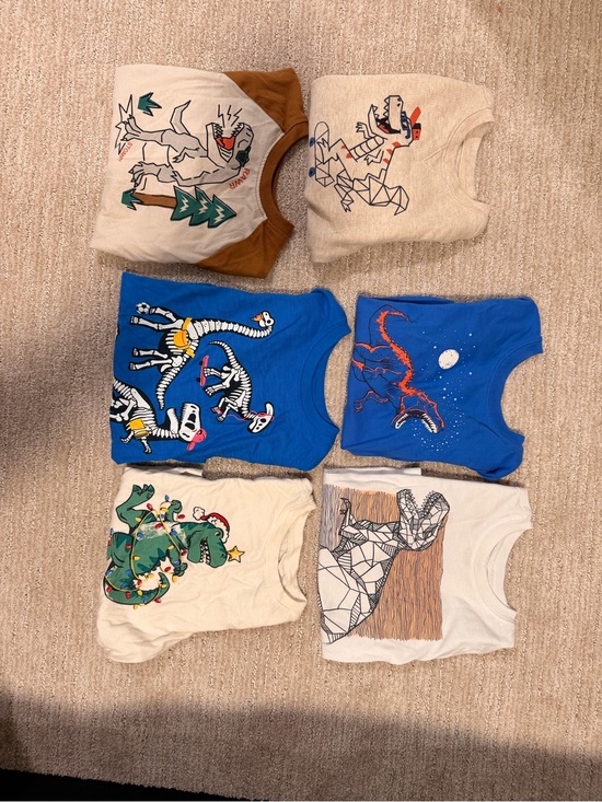 Cat & Jack Other - 2T Dino Long Sleeve